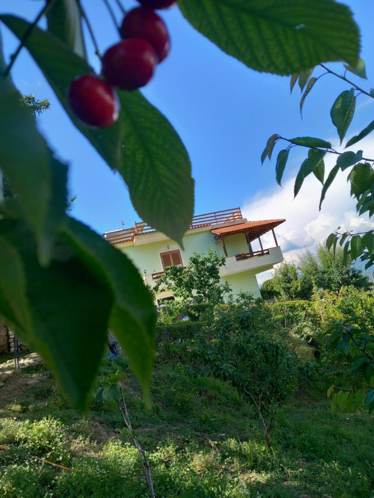 Vila Dean 培拉特 外观 照片